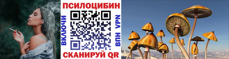Псилоцибиновые грибы ЛСД  Жердевка 